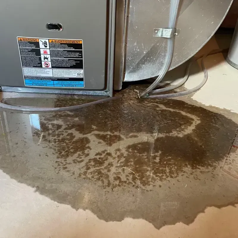 Appliance Leak Cleanup in Groveland, MA